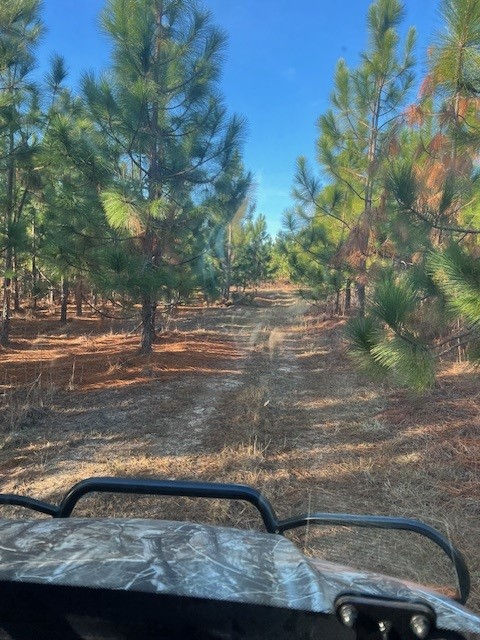 2024 - Rows are becoming more defined.