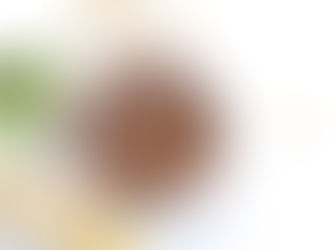 AVOCADO CACAO PUDDING