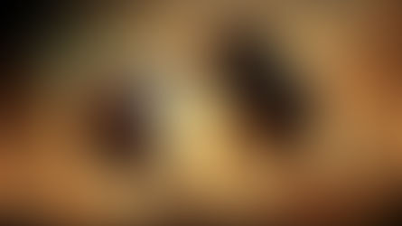 R0AR’s DeFi Vision For The 2025 Bull Run and Beyond