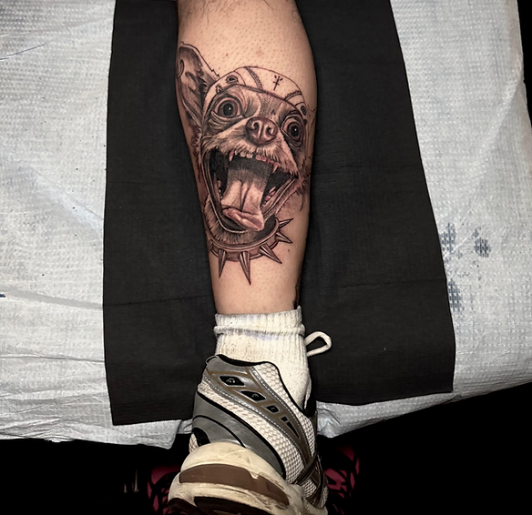 IMG_20251103_132506 (1).heic