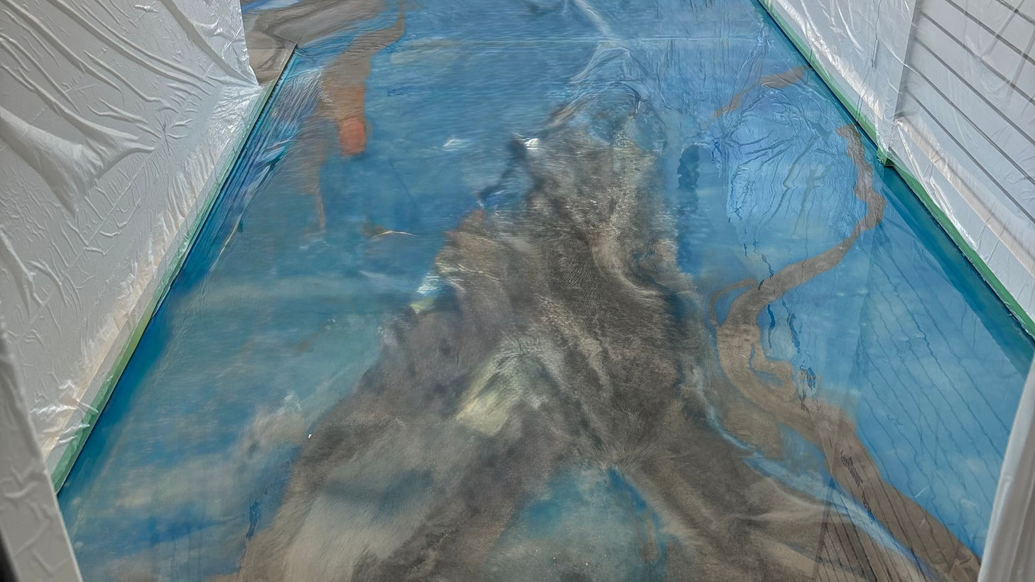 Detroit Lions metallic epoxy floor