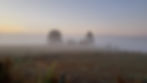 20190912_075956.jpg
