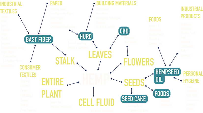 Hemp Graphic 2 edited.png