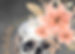couv_edited.jpg