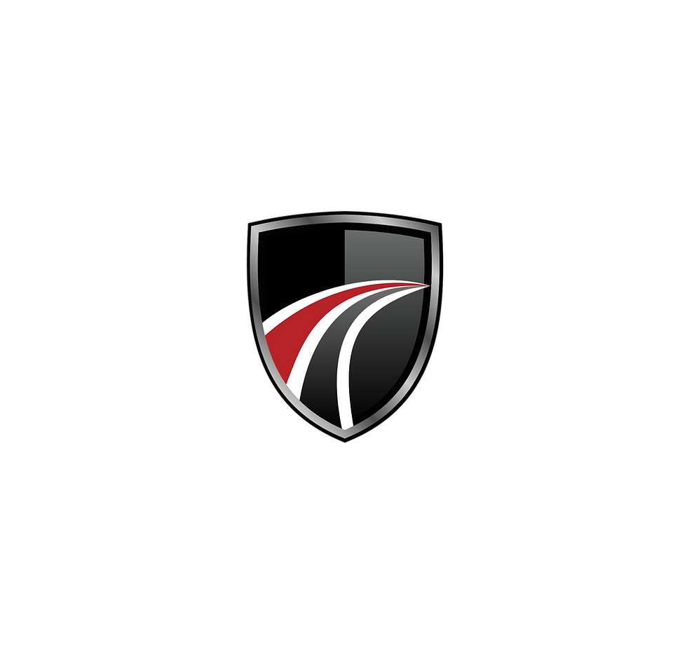 LOGO Service Pro Consulting
