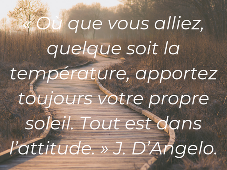 LA NEWSLETTER MENSUELLE DE VOTRE BIEN-ÊTRE #6