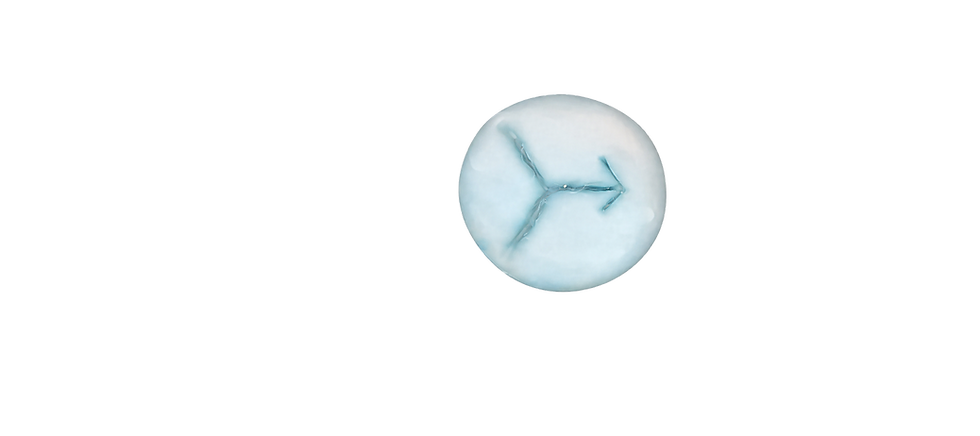 Next button