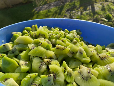 IMG_0212.jpeg