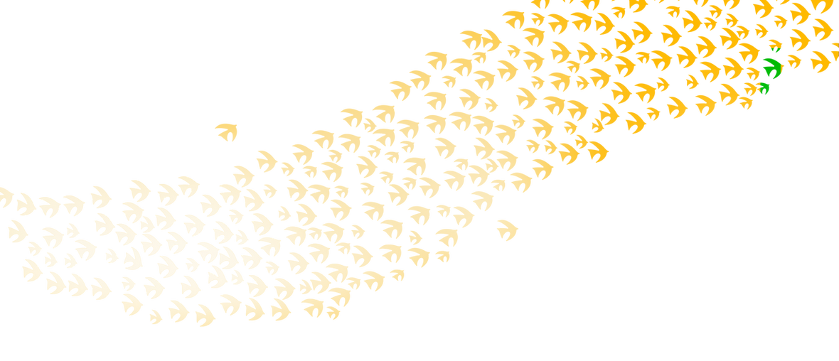 BACK BIRD 2 copy.png