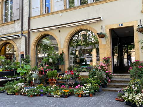 Magasin EveryVert: plantes et fleurs en devanture