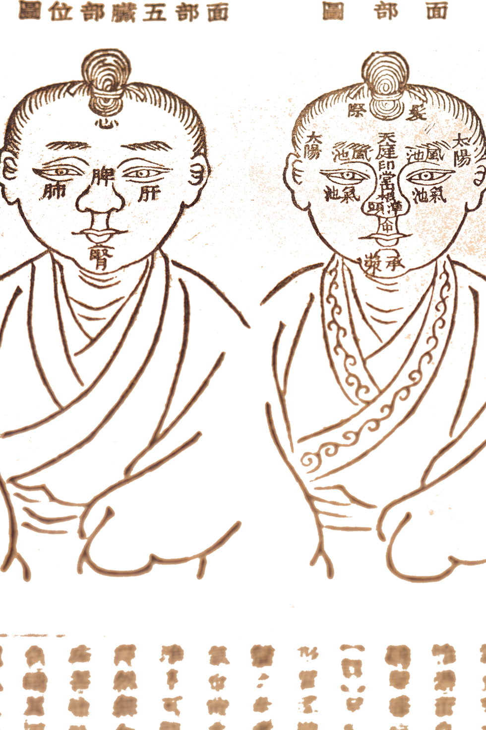 shutterstock_74996473_edited.png