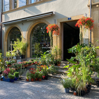 Vitrine fleurie d'EveryVert, plantes d'extérieur en vente