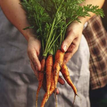 Le panier garni primeur