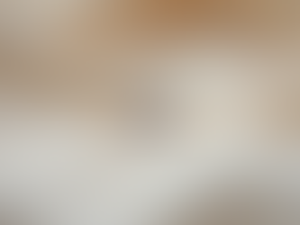 Timeless vs On Trend Styles Understanding the Difference in Engagement Rings