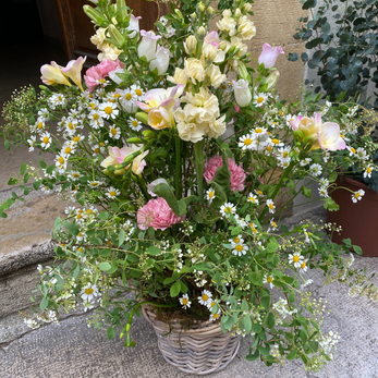 Panier de fleurs variées: roses, marguerites, et autres fleurs printanières.