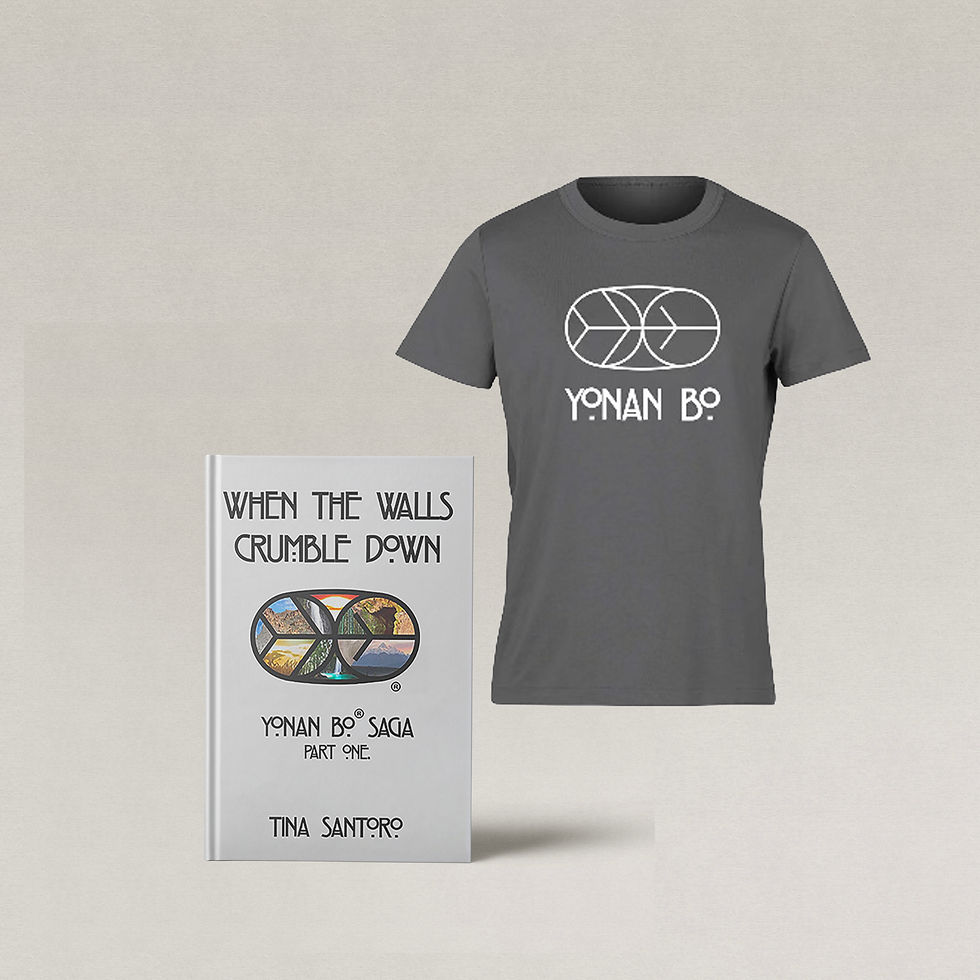 Book When the Walls Crumble Down and grey Yonan Bi t-shirt