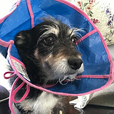 57703591092__D14F825D-E9B7-4ADD-AD3B-C6E