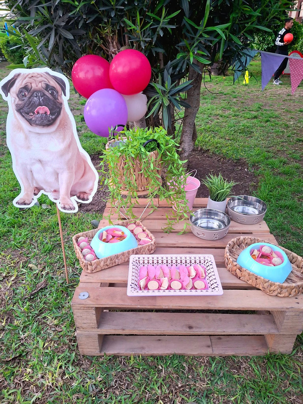 PEQUEÑOS MOUNSTRITOS PET PARTIES