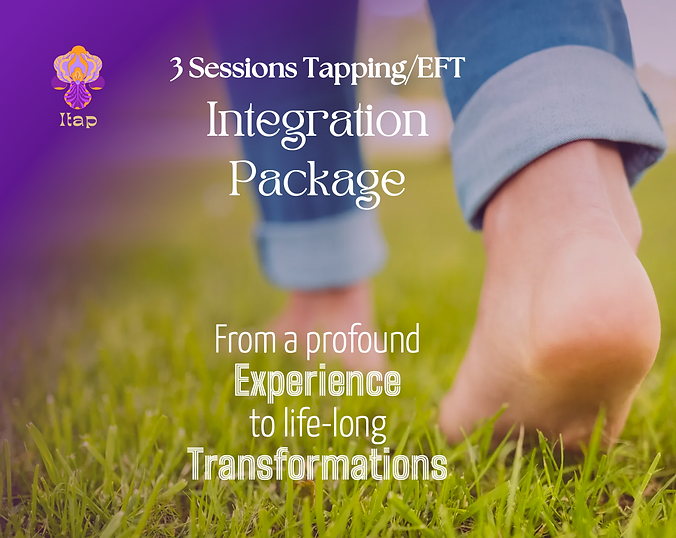 Iris_Itap_Integration Package_final.png