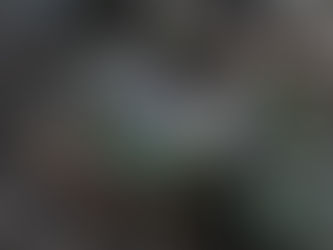 3/26 高畑山〜倉岳山