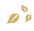 output-onlinepngtools_edited.png