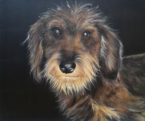 Ritratto di un bassotto a pelo duro, dipinto su uno sfondo nero