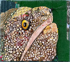 Golden Opportunity to Keep Plastic Out of the Ocean (Goldentail Eel) Front.jpg