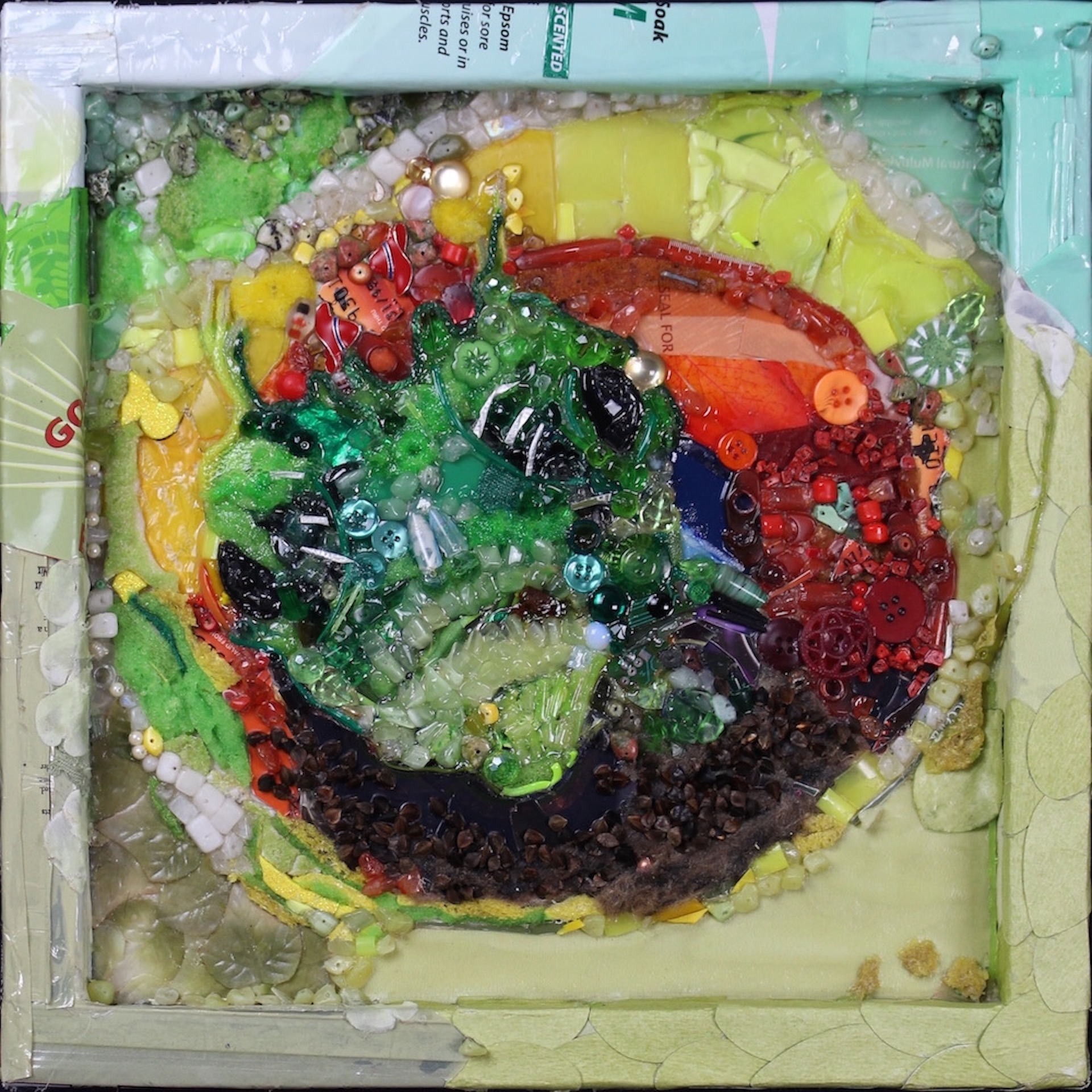 Green Spinyhead Blenny