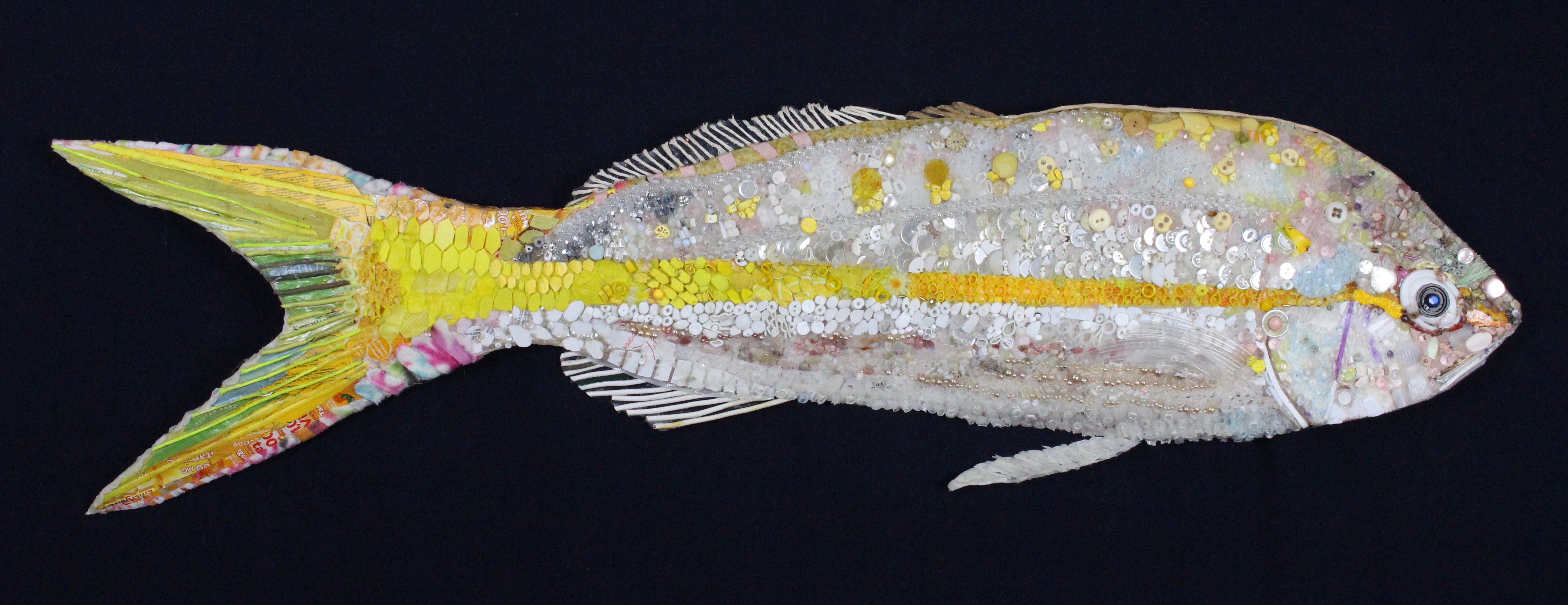 Yellowtail Snapper