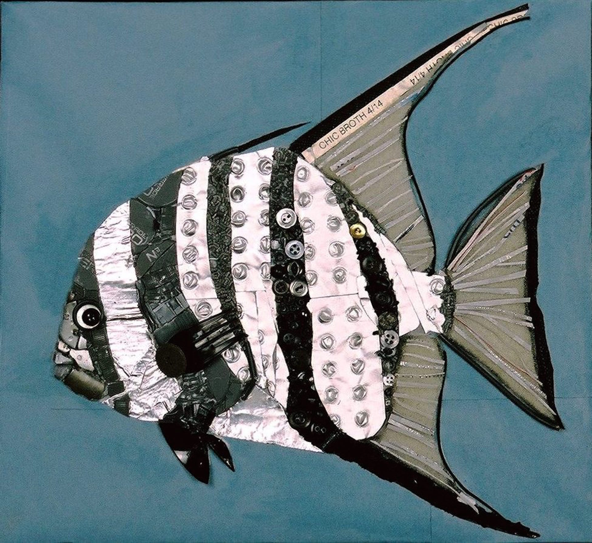 Atlantic Spadefish