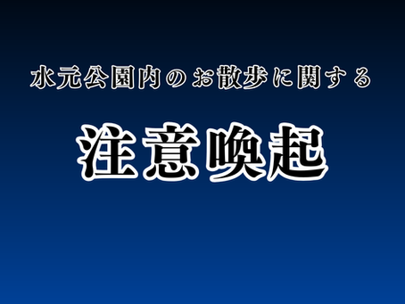 毒虫（毛虫）にご注意ください
