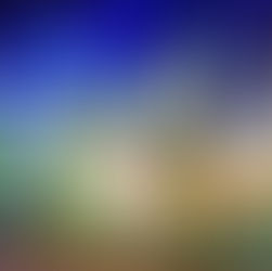 2025 Christmas Lights Winners