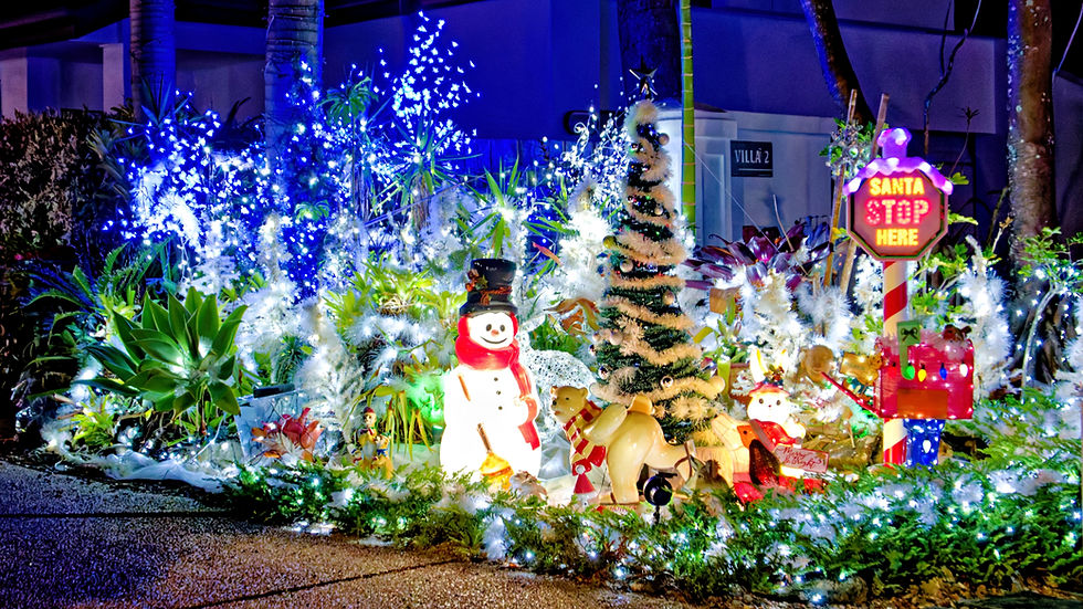 2025 Christmas Lights Winners