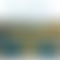     Noosa Waters Meet & Greet 2026