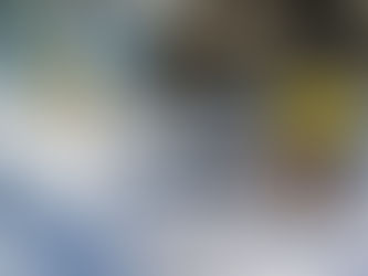 Photos from the Gala Dinner 2023