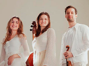 Bernstein_quer_2024-12-17 at 14.07.01.jpg