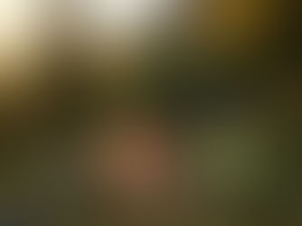 一罐能「同步解決90%戶外狀況」的蘆薈膠