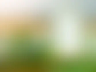 假蘆薈對身體的傷害