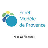Notre partenaire : Forêt Modèle de Provence 
