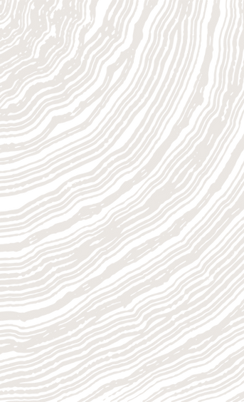 DOMAINE VALLON SECRET NERFS ARBRES.png