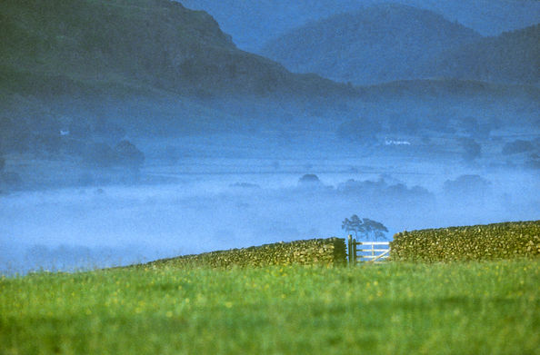 A misty dawn after a night spent under the stars at the summer solstice, scarcely two hours of full darkness.
