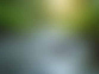 The Art of Mindful Living