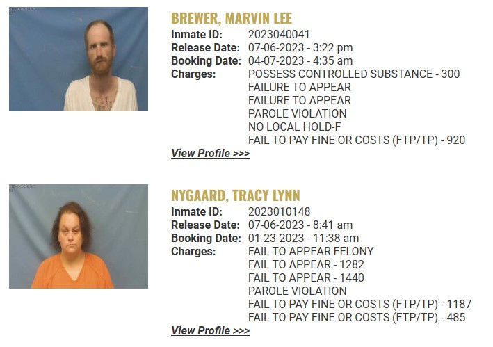 Pope County Mugshots: July 4-5, 2023