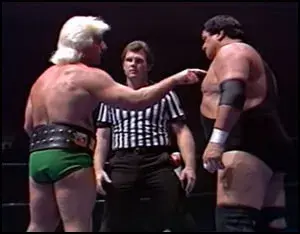 "Nature Boy" Ric Flair and Wahoo