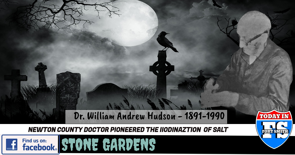 Stone Gardens: Salt of the earth Newton County doctor perfected the process that led to the iodination of table salt