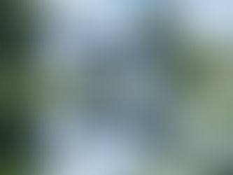 Soffletande, picknick och en dikt.