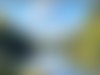 Fika, picknick och pyssel.