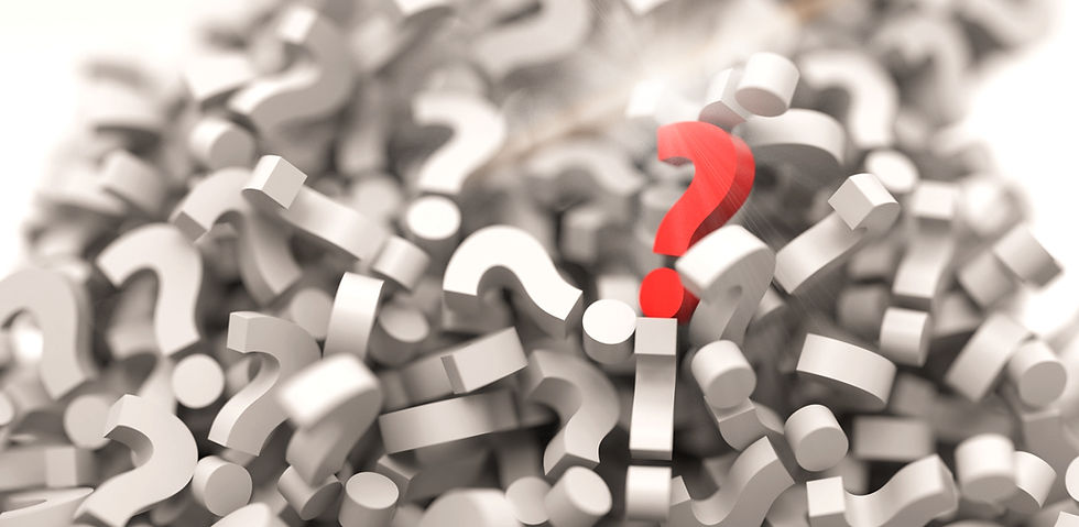 Bild från Pixabay, redigerad i Wix.