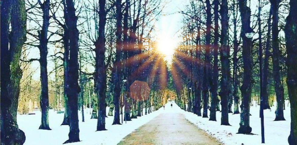 Fotograf: DM Ramkvist, redigerad i Instagram och i Wix.