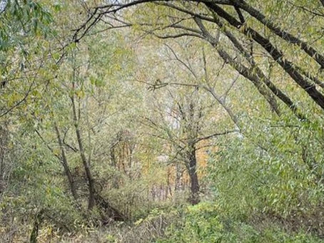 Tankar och funderingar